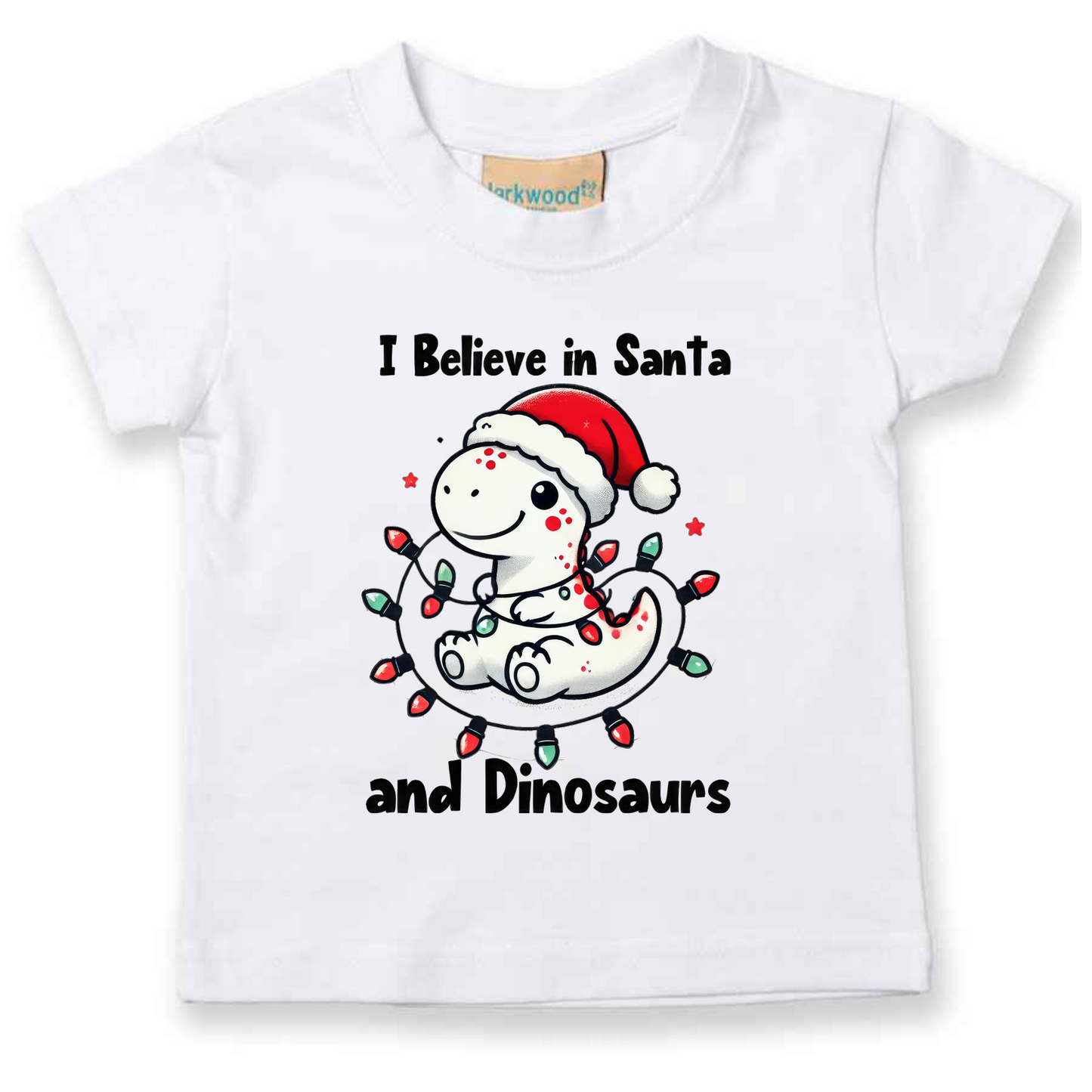 I believe in Santa and Dinosaurs. Christmas Kids Tshirt.