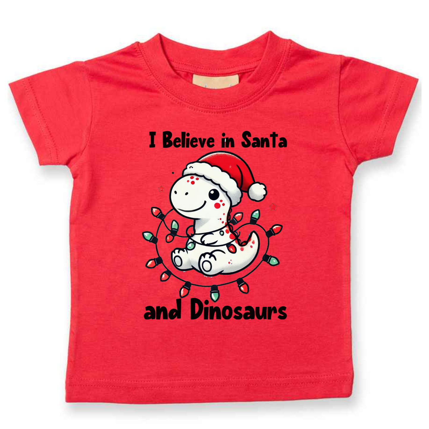 I believe in Santa and Dinosaurs. Christmas Kids Tshirt.