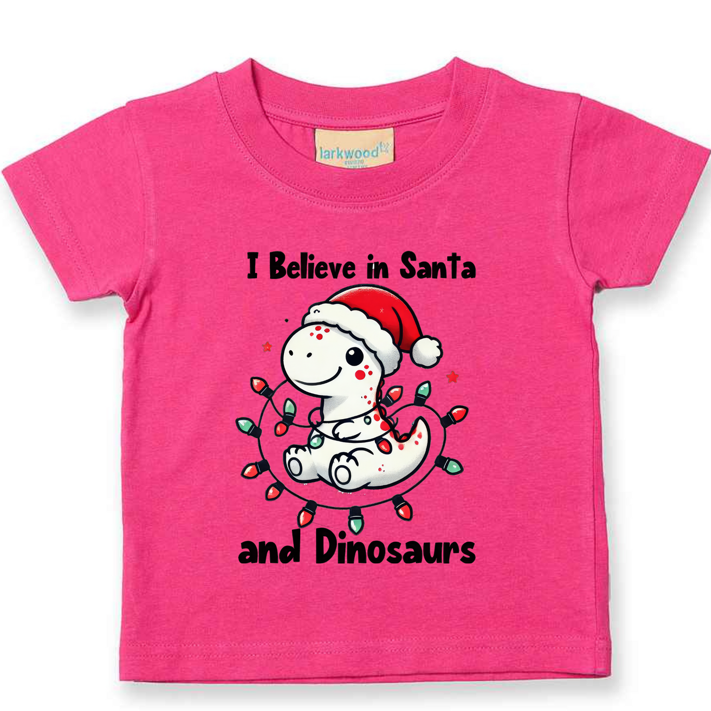 I believe in Santa and Dinosaurs. Christmas Kids Tshirt.