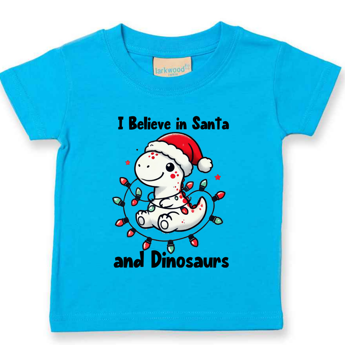 I believe in Santa and Dinosaurs. Christmas Kids Tshirt.